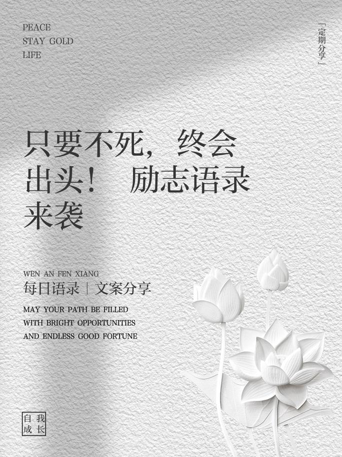 「开云体育关注‘盲拳王’的励志之路：残障选手如何在无数挫折中坚持训练，终获专业赛肯定」