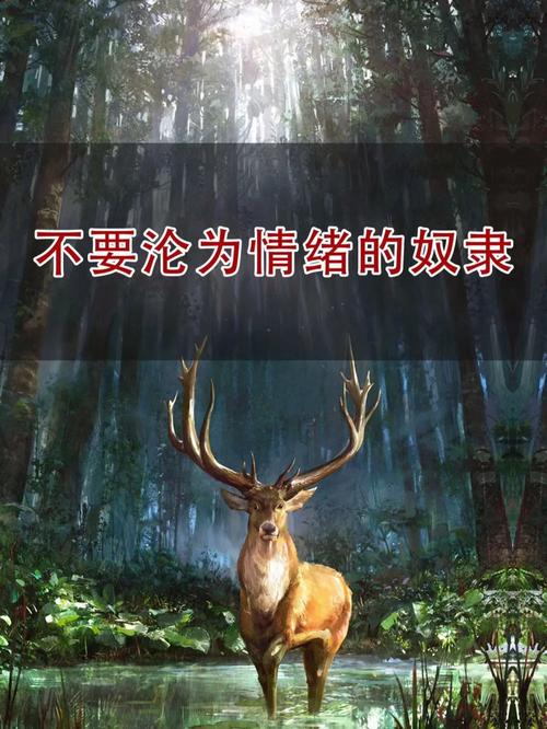 「勿做情绪奴隶：开云体育讲述愤怒时的加倍往往是步入深渊的前奏，理性不可丢」